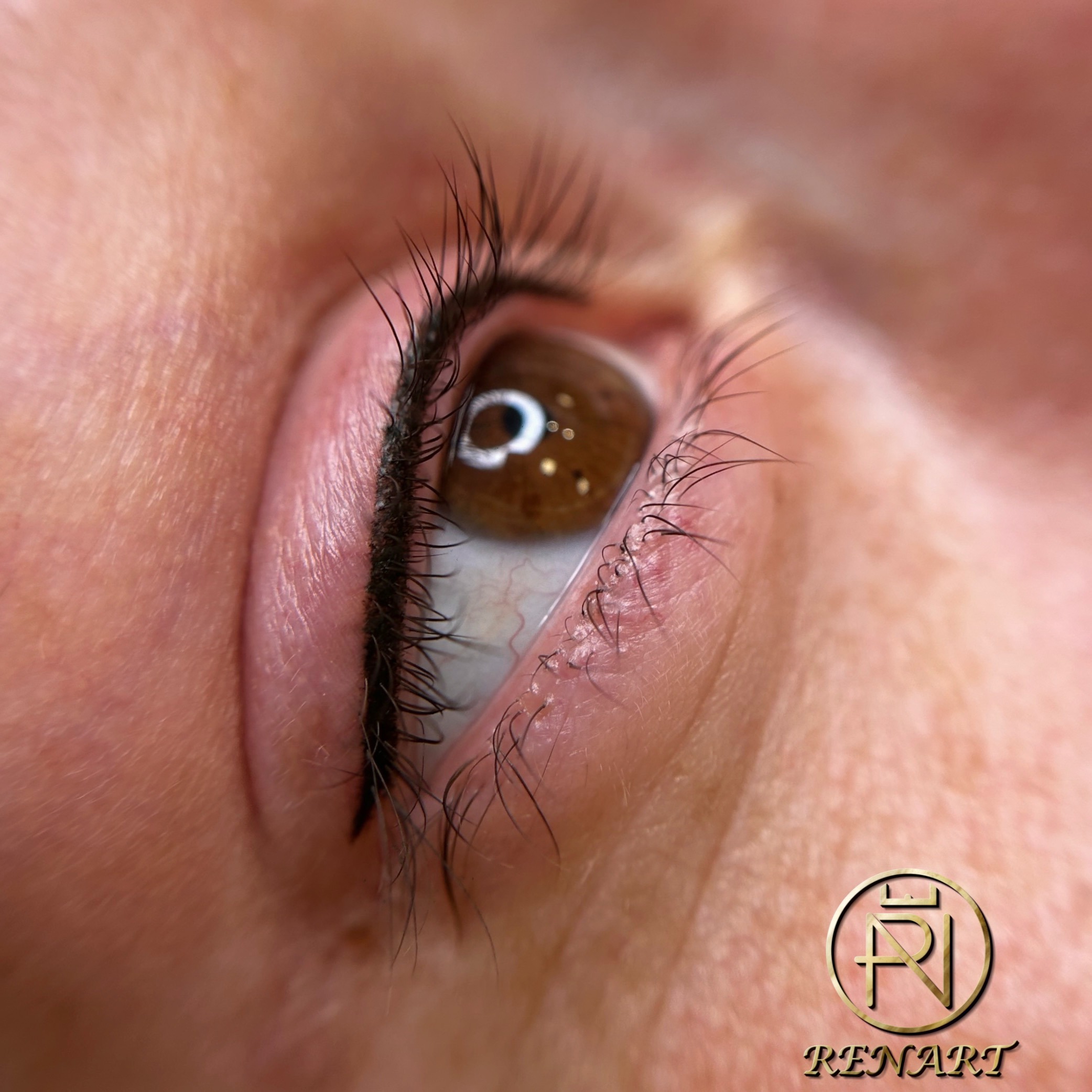 1565160C-DC08-4228-A5A7-48879D759509 (1)