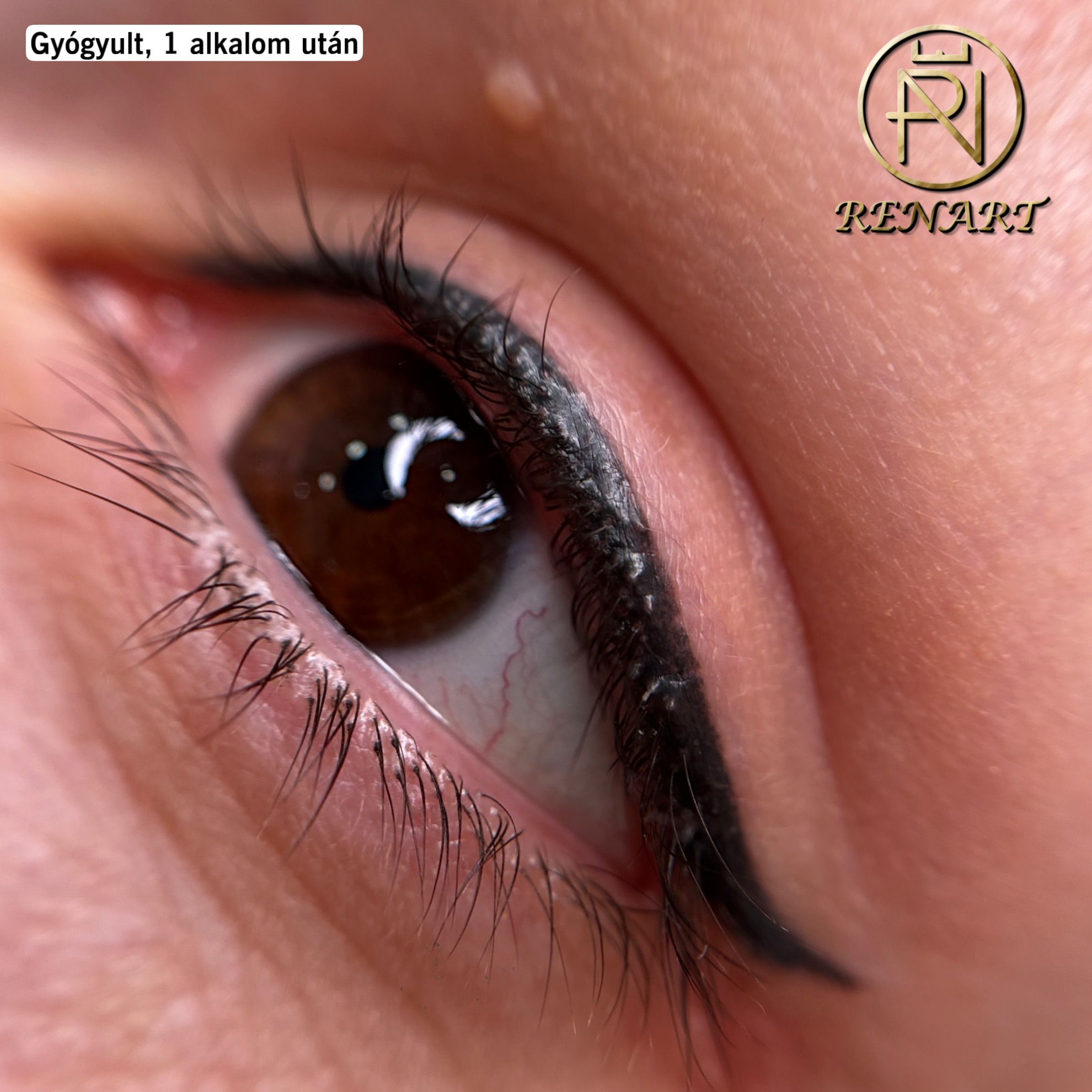 5DF09D42-9E86-41D1-8AF5-3515A12F9FB3 (1)